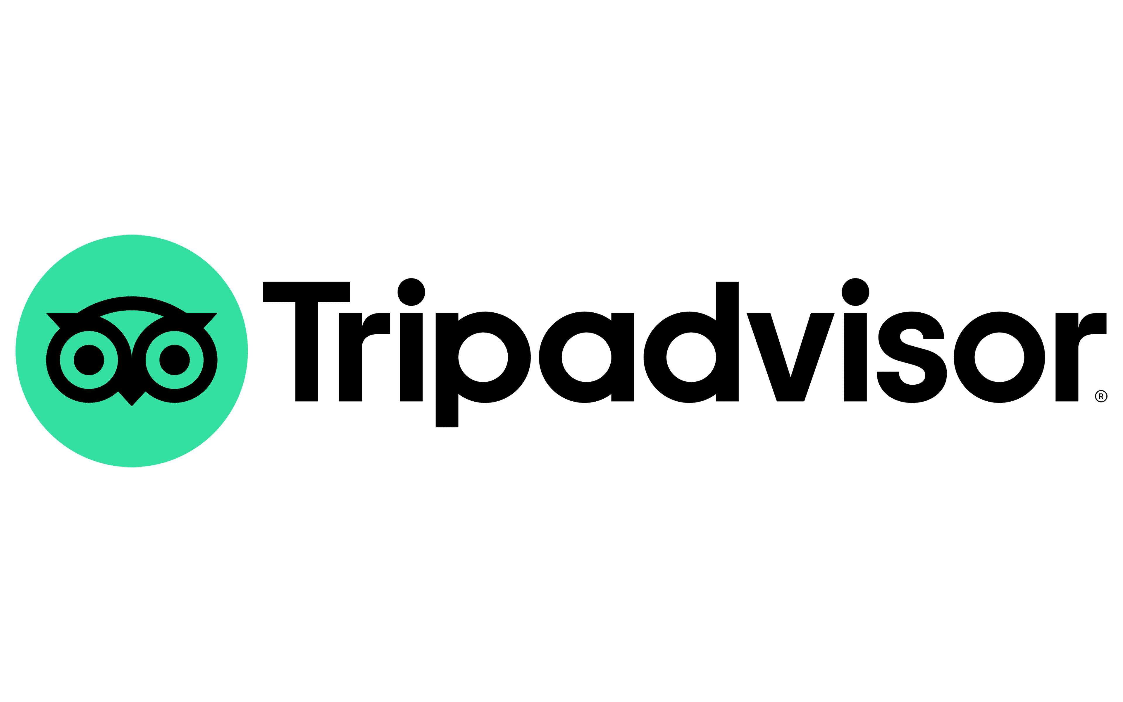 TripAdvisor Reviews